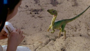 Jurassic Park 2 Kayip Dunya 1997 izle