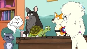 La casa de los animales 1×1