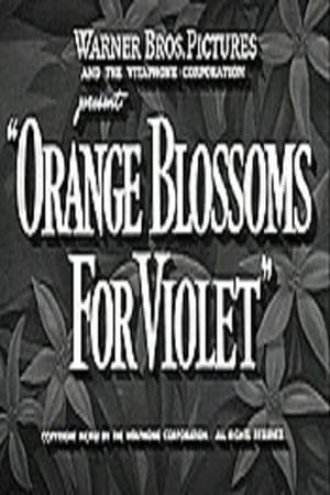 Orange Blossoms for Violet poster