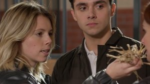 Épisode 134