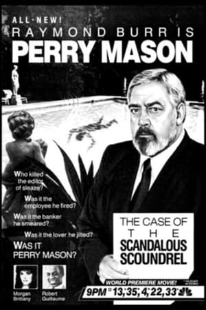 Poster for Perry Mason: The Case of the Scandalous Scoundrel (1987)