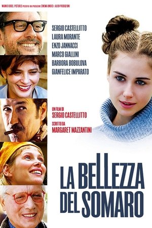 Poster La bellezza del somaro 2010