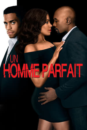 Poster Un homme parfait 2015