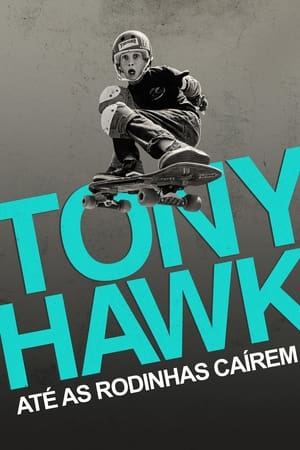 Image Tony Hawk: Until the Wheels Fall Off