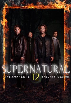 Temporada 12