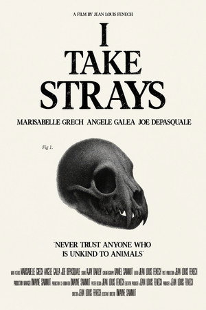 I TAKE STRAYS (2026)