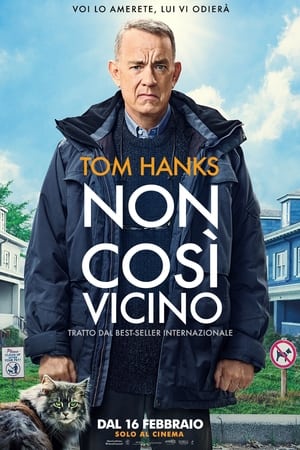 Poster di Non così vicino