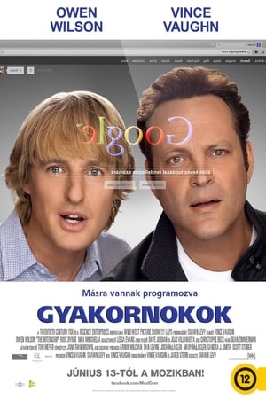 Image Gyakornokok