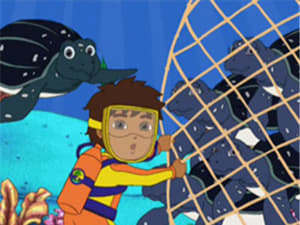 Go, Diego, Go! Save the Sea Turtles