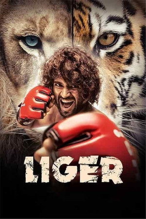 Liger 34
