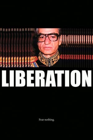 Poster Liberation (2009)