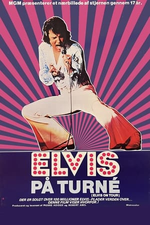 Image Elvis på turné