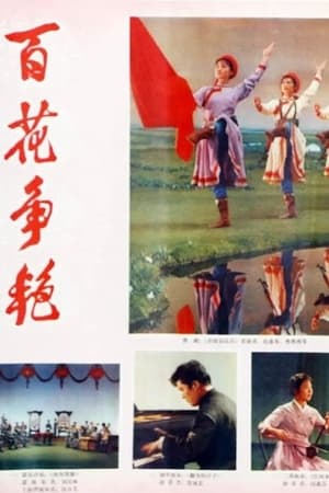 Bai hua zheng yan film complet