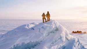 Den Eisbären so nah (2022)