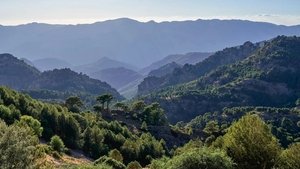 Les forêts des sommets film complet