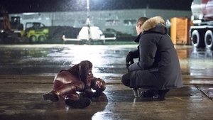 The Flash Season 1 Episode 22 : Rogue Air