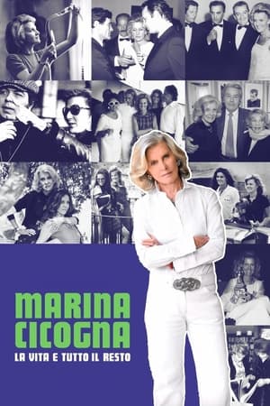 Poster Marina Cicogna - La vita e tutto il resto 2021