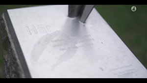 Jas-kraschen på Vattenfestivalen