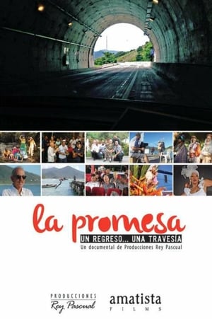 Poster La promesa (2014)