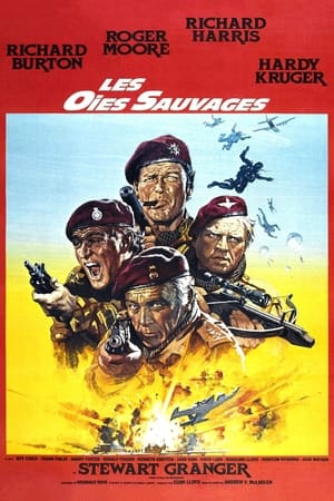 Poster Les Oies sauvages 1978