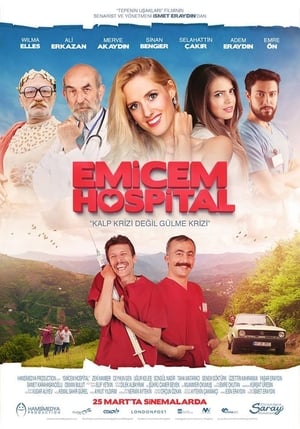 Poster Emicem Hospital (2016)