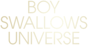 Boy Swallows Universe