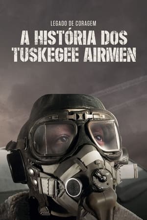 Image Tuskegee Airmen: Legacy of Courage