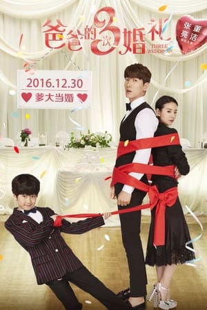 Poster Three Weddings 2016