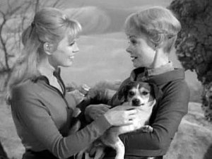 Lost in Space: 1×13