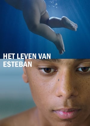 Poster Het leven van Esteban 2017