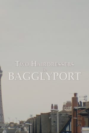 Two Hairdressers in Bagglyport (2022) | Team Personality Map