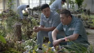 Prison Playbook: 1×11