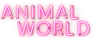 Animal World