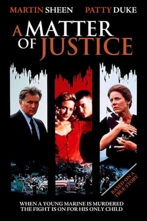 Poster A Matter of Justice 1. sezóna 1993