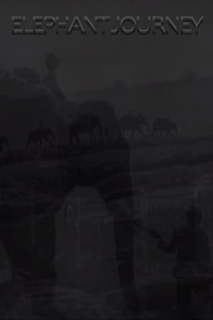 Image Elephant Journey