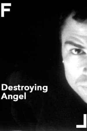 Destroying Angel film complet