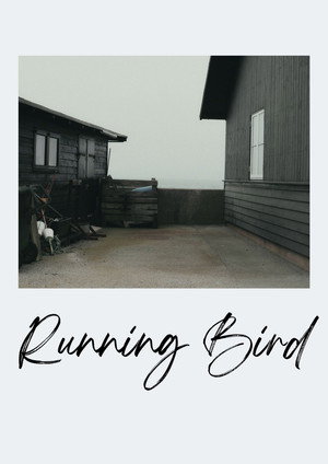 Running Bird 4
