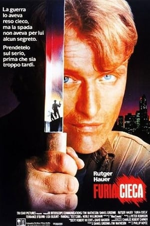 Poster Furia cieca 1989