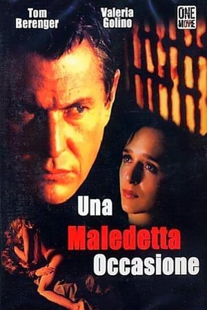 Poster Una maledetta occasione 1996