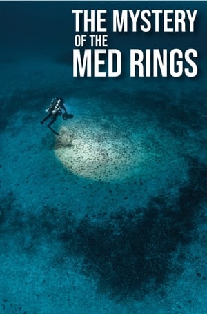 Poster The Mystery of the Med Rings ()