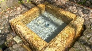 Journeys in Japan: 15×14