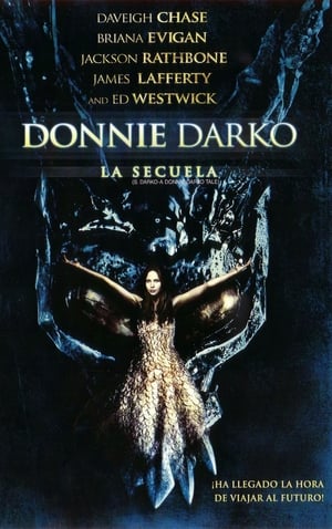 Poster Donnie Darko. La secuela 2009