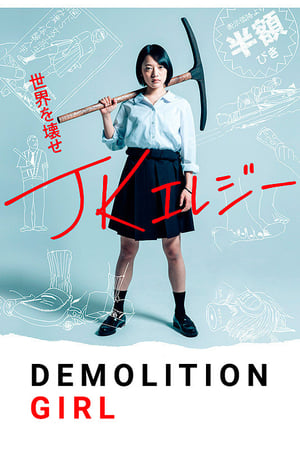 Poster Demolition Girl 2019