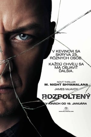 Poster Rozpoltený 2017