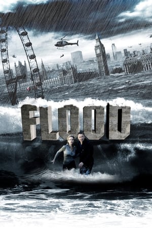 Flood poster