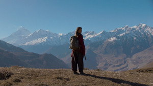 Himalayan Gold 12