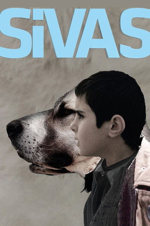 Sivas 13