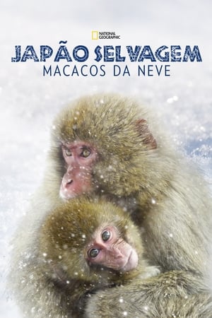 Poster Wild Japan: Snow Monkeys 2014