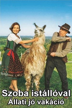 Image Szoba istállóval - Állati jó vakáció