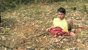 Hanging at Picnic Rock Online En Netflix